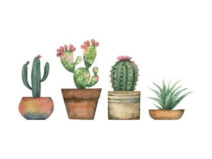 Samolepicí dekorace Crearreda  na okno WI S Cactus 69001 Kaktusy