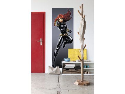 Komar papírová fototapeta Black Widow 1-430 Černá vdova, rozměry 73 x 202 cm