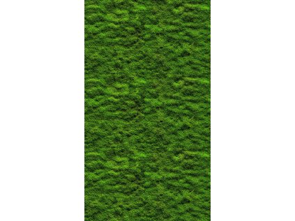 39839-1 vliesová obrazová tapeta na zeď s digitální tiskem, role 8,8 m x 53 cm