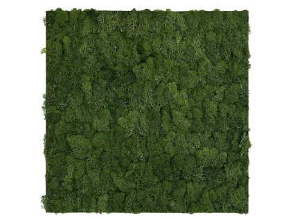 136678 Akustický stěnový mechový panel, 52x52x4 cm, skutečný mech
