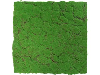 136683 Akustický panel s umělými rostlinami a motivem mechu 52x52x2 cm