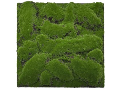 136684 Akustický panel s umělými rostlinami a motivem mechu 52x52x2,6 cm