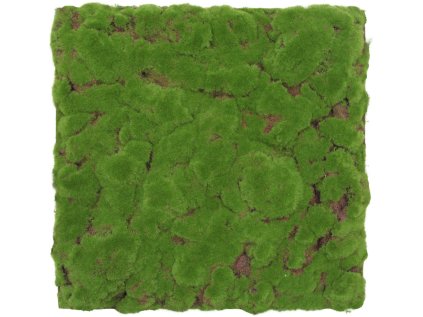 136686 Akustický panel s umělými rostlinami a motivem mechu 52x52x2,6 cm