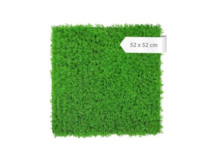 136690 Stěnový květinový panel, 52x52x2,8 cm, design Flora