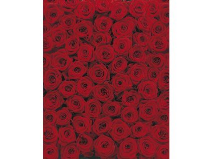 Komar papírová fototapeta Roses 4-077 Růže, rozměry 194 x 270 cm