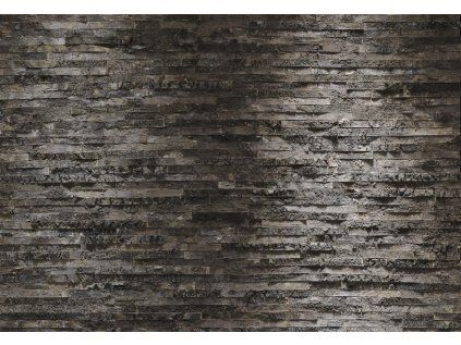 Komar papírová fototapeta 8-700 Birkenrinde, rozměry 368 x 254 cm