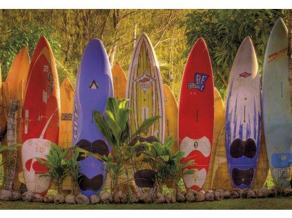 Komar papírová fototapeta 8-902 Maui, rozměry 368 x 254 cm