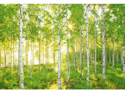 Komar vliesová fototapeta XXL4-519 Sunday, rozměry 368 x 248 cm