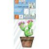 Samolepicí dekorace Crearreda  na okno WI S Cactus 69001 Kaktusy