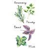 Samolepicí dekorace Crearreda WA S Spices 59177 Bylinky
