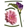 Komar samolepicí nástěnná dekorace Fiore 18887