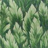 26707 Samoa watermelon closeup 1 1920x1920
