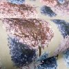Hohenberger 26922HTM luxusní vliesová tapeta na zeď, rozměry 8.50 x 0.70 m