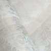 64273 Nerites antique white detail 5[1]