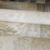 64276 Nerites cream gruppe 1[1]