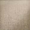 64281 Zeus taupe closeup 1[1]