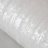 64284 Zeus snow detail 1[1]