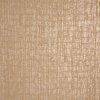 64327 Zeus burly wood closeup 2[1]