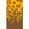 520de8c1d659974650c2714afd7ea3c1[1]