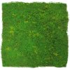 136685 Akustický panel s umělými rostlinami a motivem mechu 52x52x3,2 cm