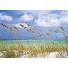 Komar papírová fototapeta 8-515 Ocean Breeze, rozměry 368 x 254 cm
