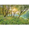 Komar papírová fototapeta 8-524 Spring Lake, rozměry 368 x 254 cm