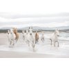 Komar papírová fototapeta 8-986 White Horses, rozměry 368 x 254 cm